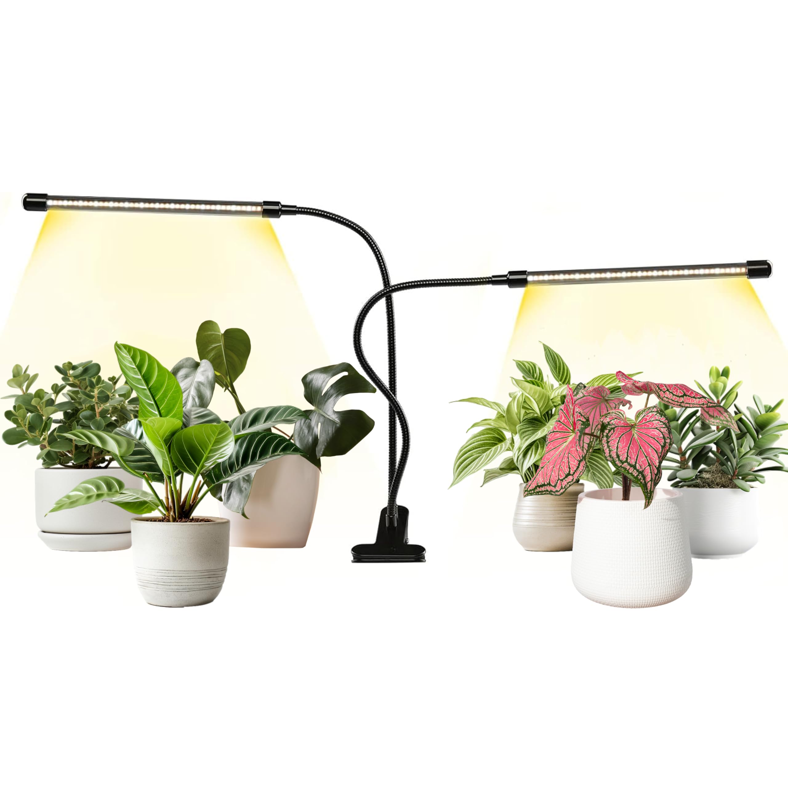 Snapklik.com : iPower LED Grow Lights For Indoor Plants, Full Spectrum ...