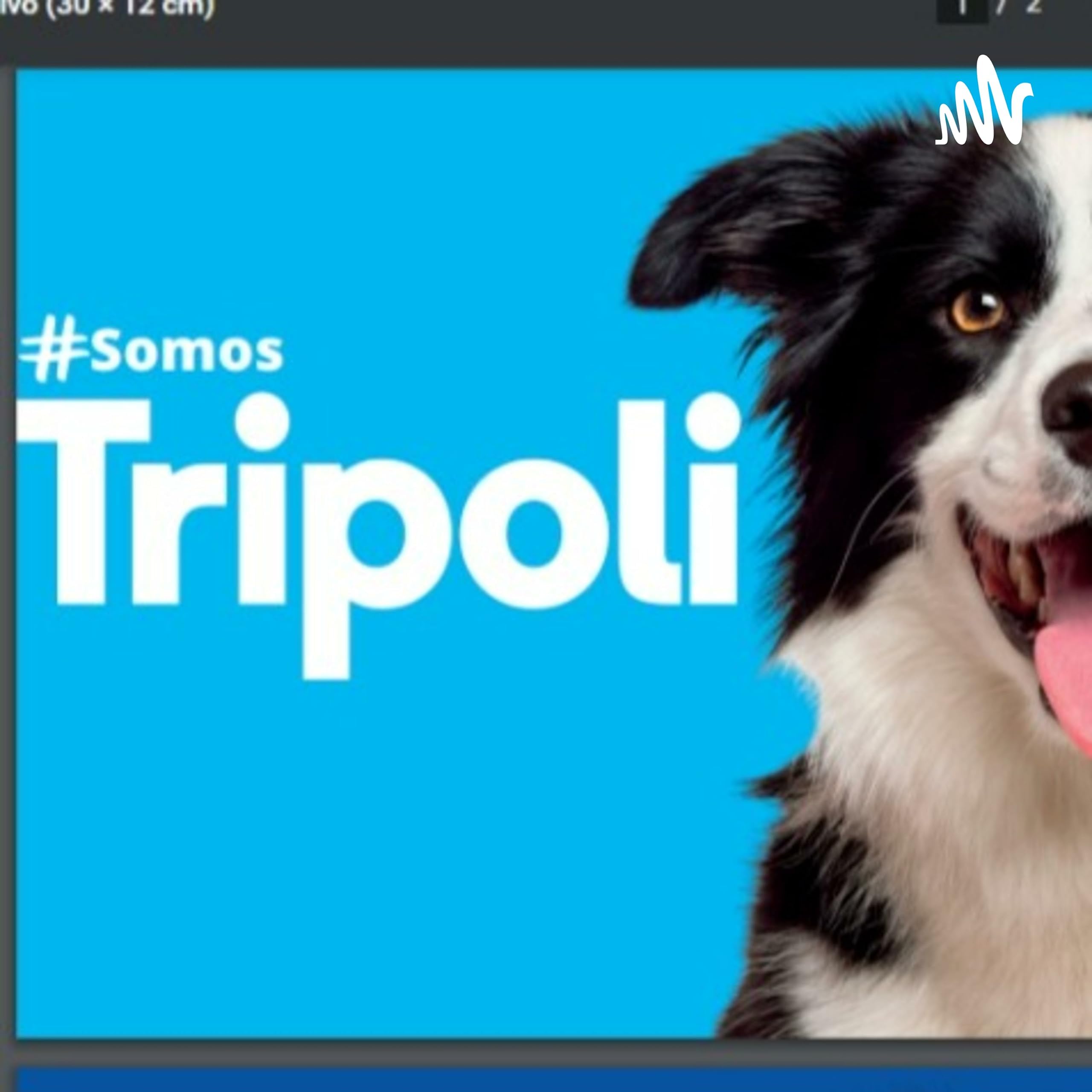 Ricardo e Giovana Tripoli 4565 - 45145