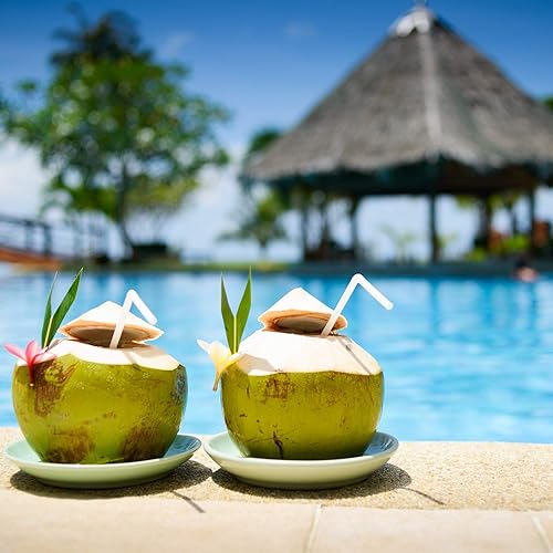 Miniatura 8 de ALINK 200 popotes flexibles negros + 200 popotes flexibles blancos