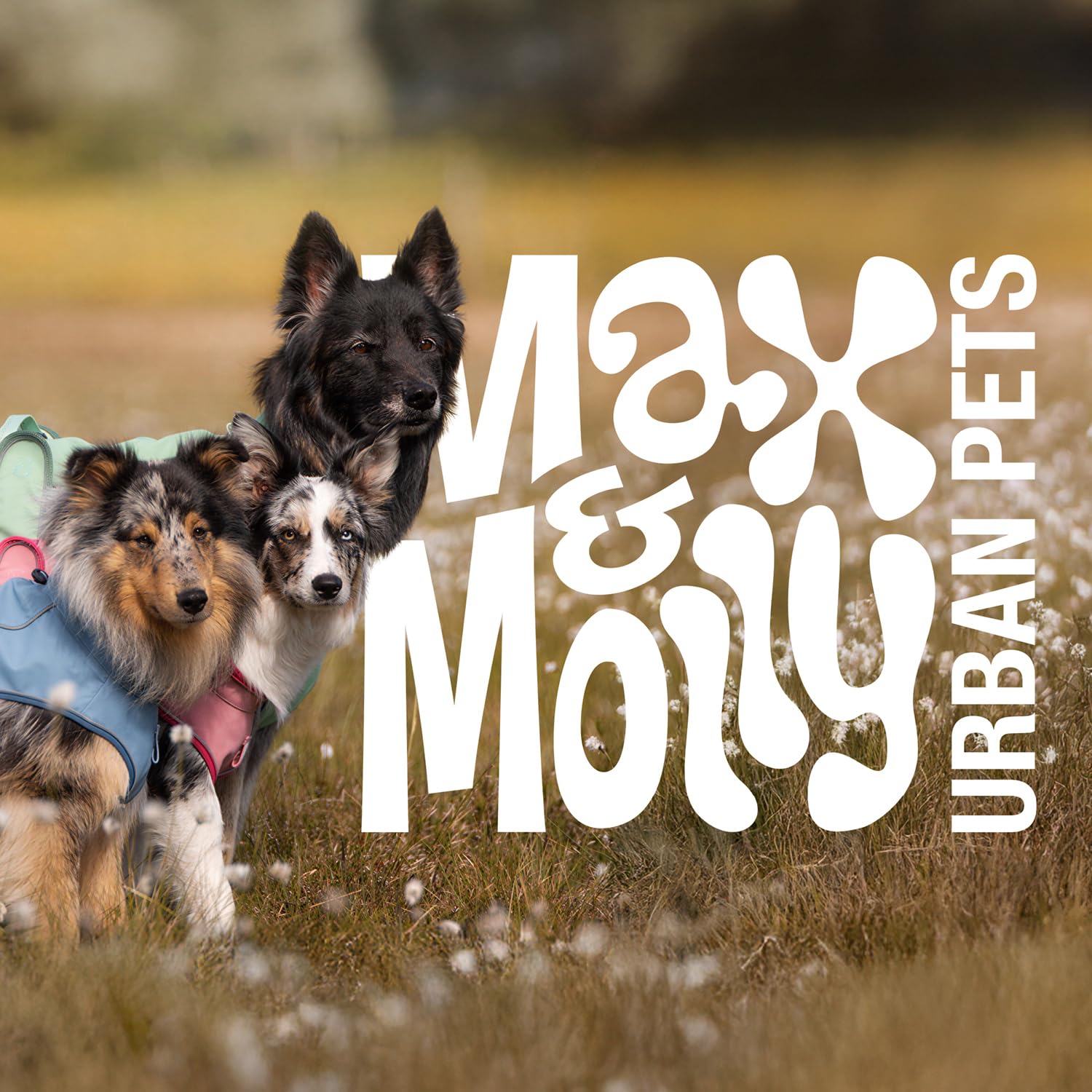 Max & Molly Regenmantel Hund wasserdicht, S, Stone, Sportliche Regenjacke für Hunde mit verstellbarem Bauchgurt, Reflektierend und Sicher, Regenjacke Hund mit Geschirröffnung