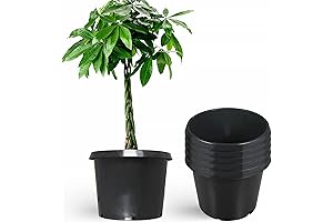 20 Gallon Ultimate Collection - 5-Pack of Plastic Orchard Pots