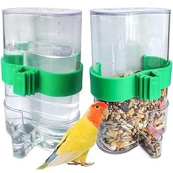 bird feeder automatic