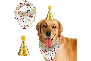 Birthday Bandana for Dogs: Festive Gear for Your Furry Friend's Special Day