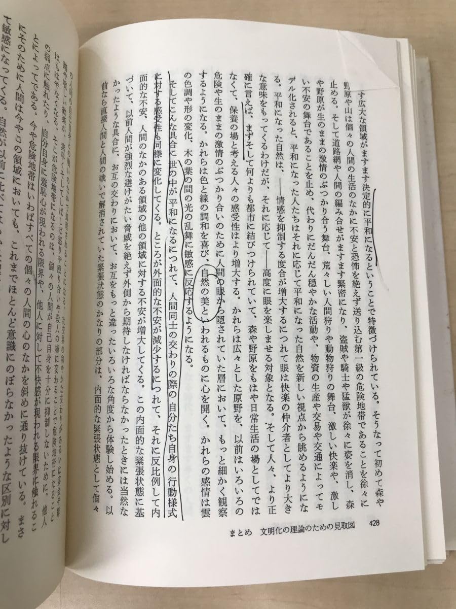 Amazon.co.jp: 文明化の過程 叢書 ウニベルシタス 全巻セット