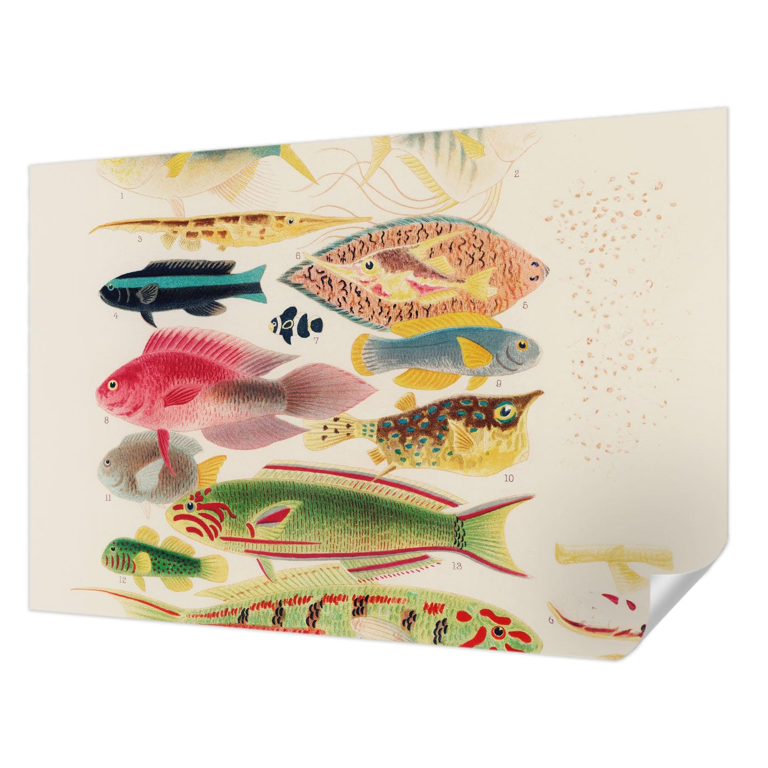 Revêtement mural autocollant Tulup 152x104 cm poissons colorés