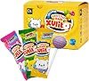 DC24 DAILY CARE Xylitol Lollipops Assorted Fruit Flavors Suckers Anti-Cavity, No Added Sugar Candy for Kids, Tooth-friendly, Vegan, and Keto Diet 12 Count