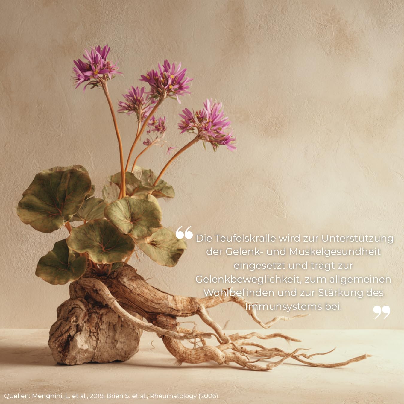 Teufelskralle Kapseln – Harpagophytum procumbens – Traditionelle Pflanze – 100% Vegan – HACCP – Frankreich