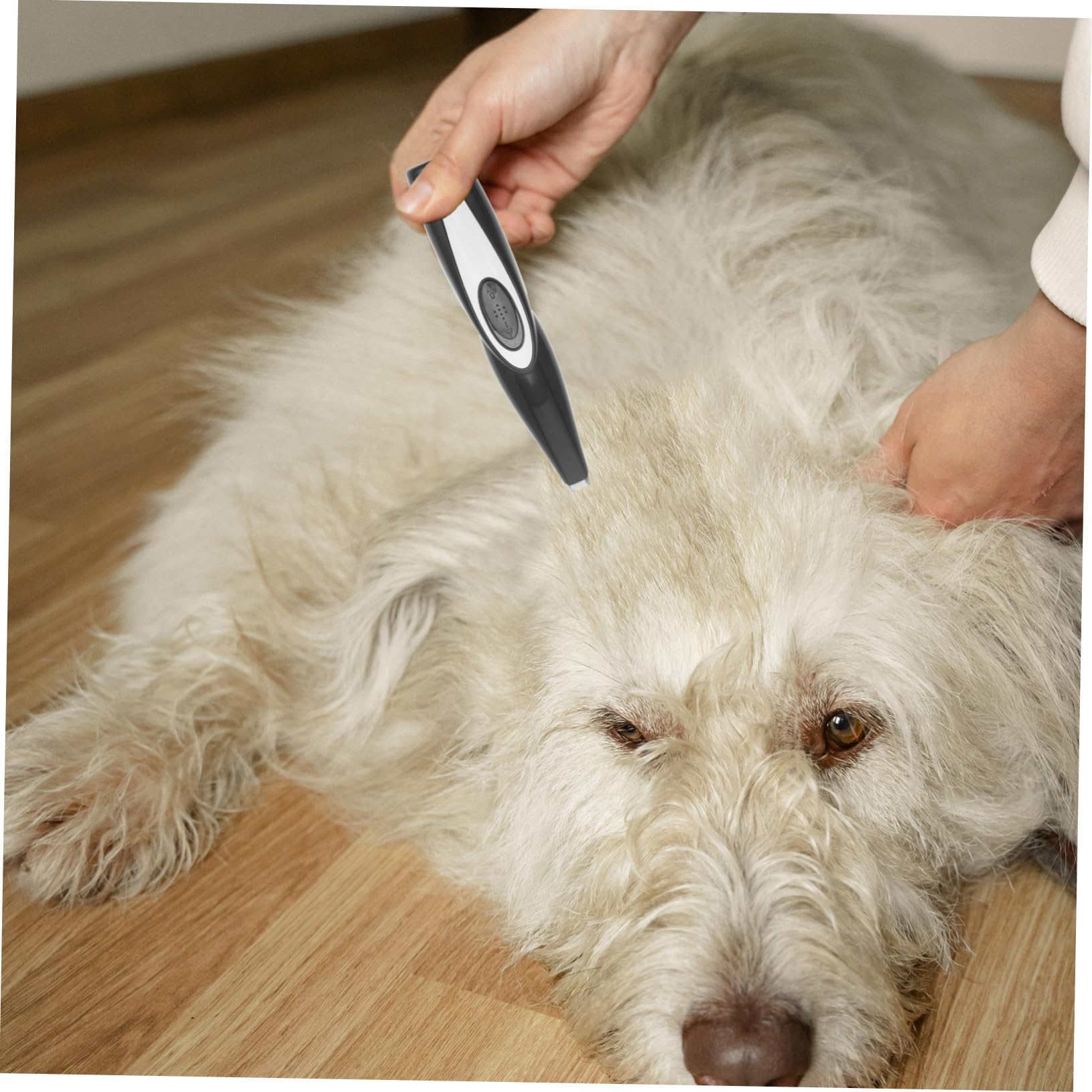 ibasenice Elektrischer Hundehaarschneider für Haustiere USB Wiederaufladbar Pfotenrasierer für Präzise Fellpflege Zuhause Kunststoff und Edelstahl