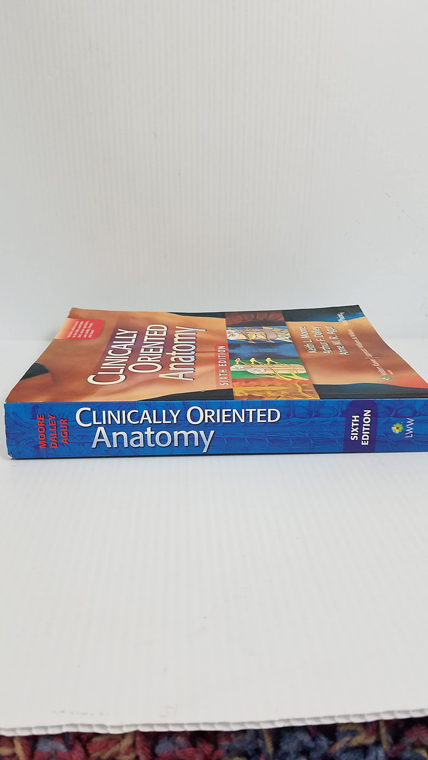 Clinically Oriented Anatomy Moore, Keith L. - PT02
