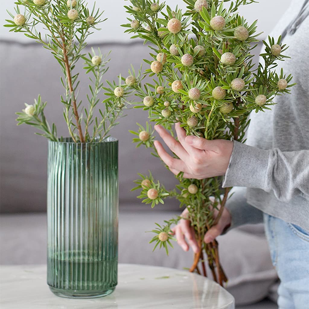 Amazon.co.jp: 花用ガラス花瓶 花瓶装飾、アート装飾花瓶 ガラス花瓶