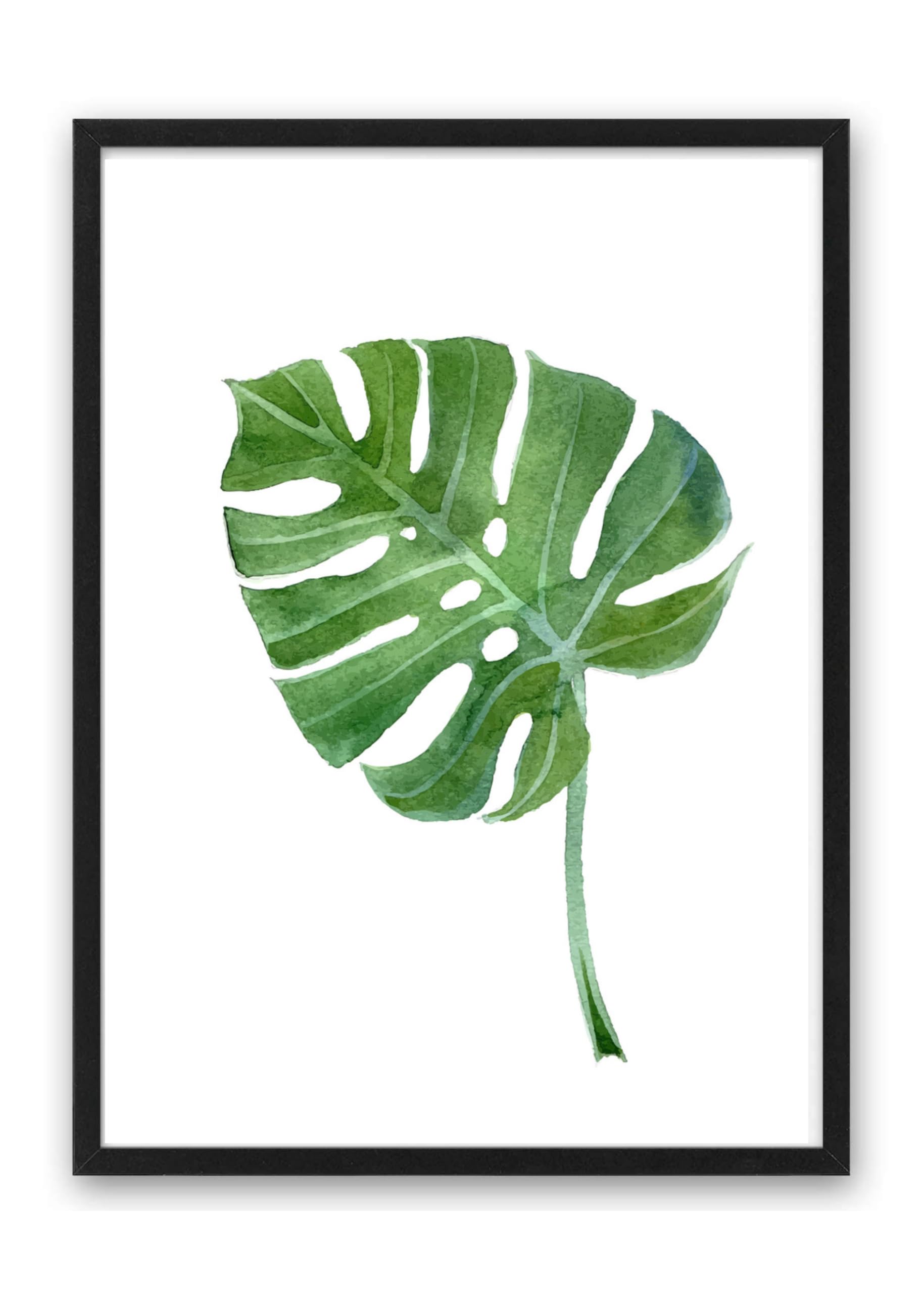 pothos monstera Monstera Adansonii Pothos Kokedama Mix – Greendama main image 1