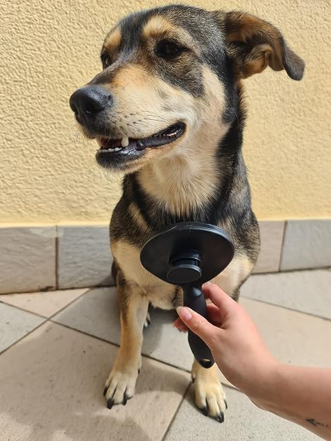 Foto 4 de 8 de Cepillo para perros y gatos, limpiador de pelo largo, pelo corto, pelo corto, pelo interior, acero inoxidable