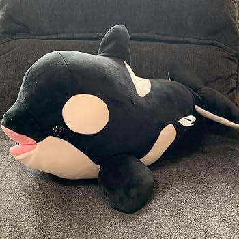 Amazon.co.jp: 神戸須磨シーワールド オルカくじ 2等 シャチ : おもちゃ