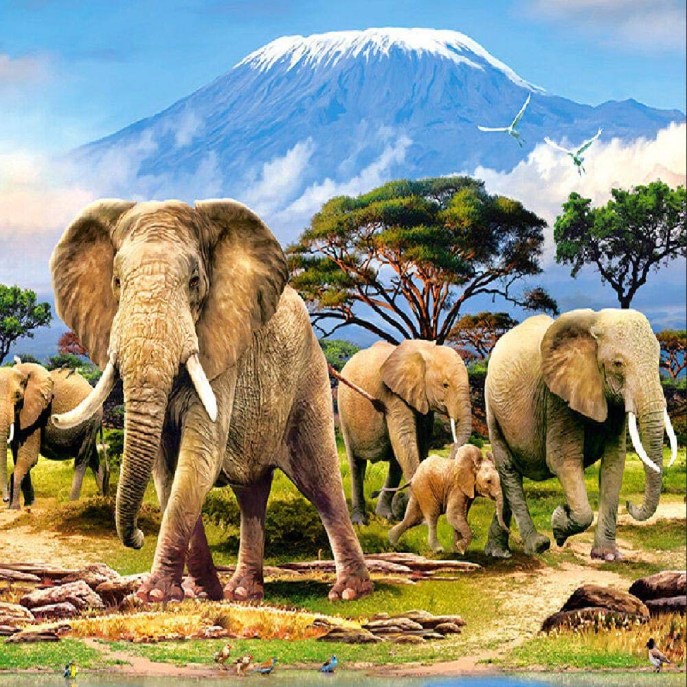 Rompecabezas de 5000 Piezas,Elefante en la pradera,Puzzles para Adultos,5000 Piezas Jigsaw Puzzles Infantiles descompresión,Rompecabezas de Piso Juego de Juego Familiar y Rompecabezas-61.61x41.53 pul
