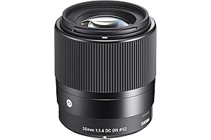 Sigma 30mm F1.4 DC DN DN Lens for Sony E (Renewed)