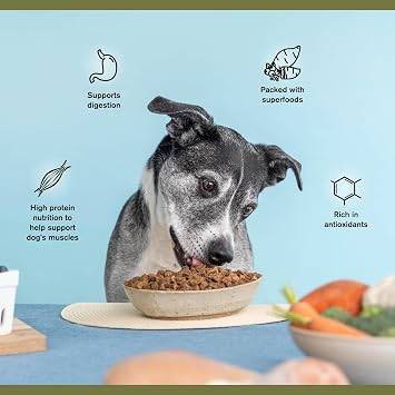BADLANDS RANCH Superfood Complete, Air-Dried Adult Dog Food, 24 Ounce Premium Chicken and Super Gut Organic Supplement 90 Grams, 30 Scoops