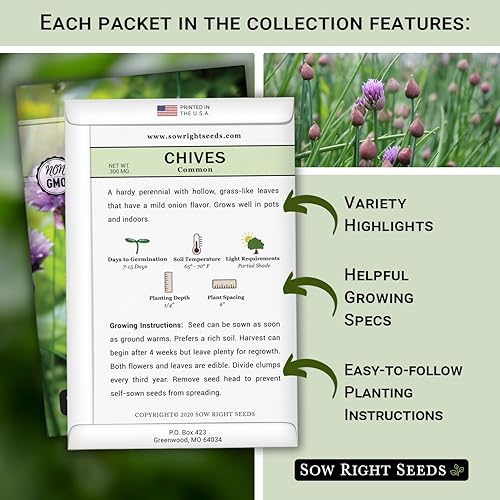Miniatura 2 de Sow Right Seeds - Colección de semillas de cebollino para plantar - Variedades comunes y de ajo sin OMG - Ideal para plantar al aire libre,