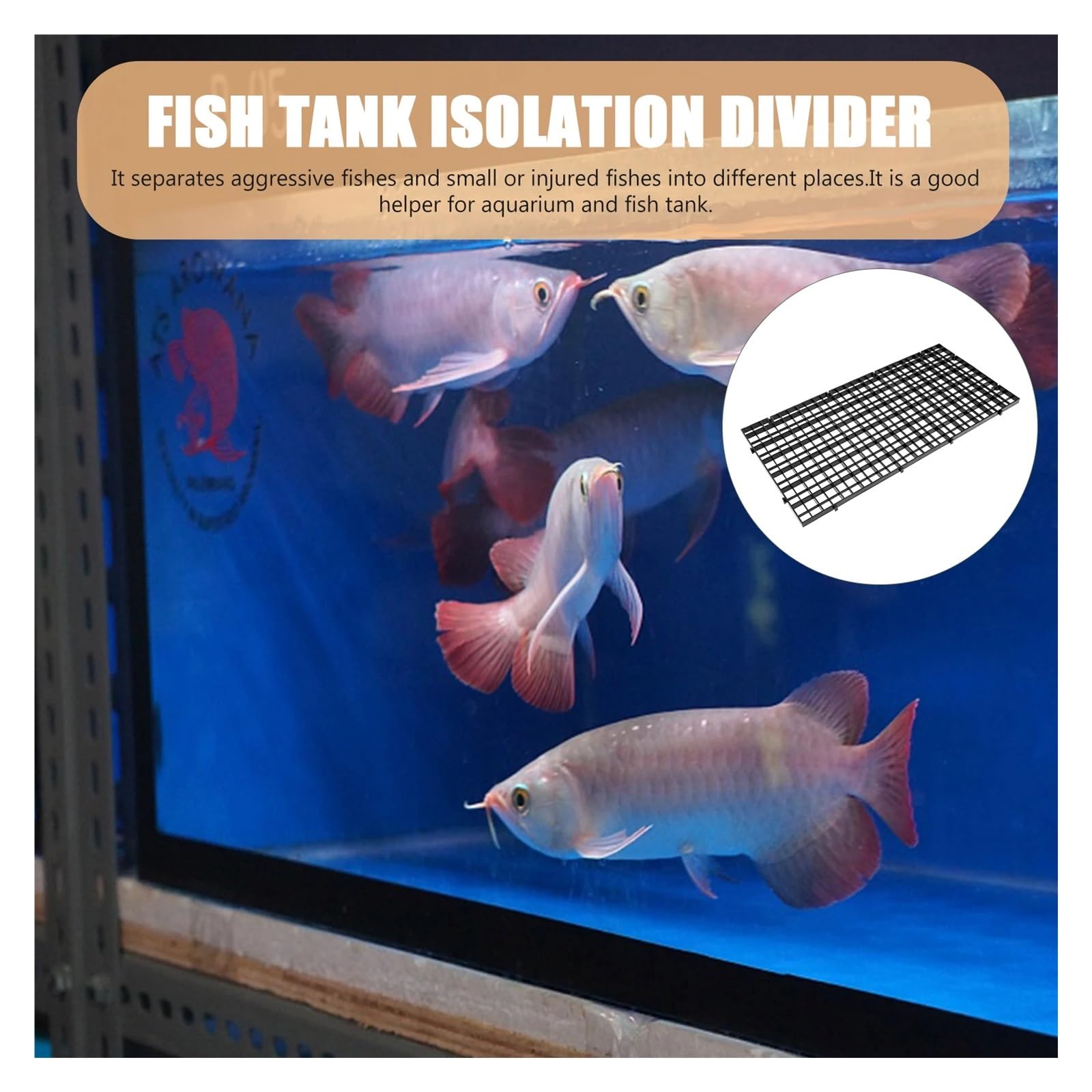 Filterplatte für Aquarium 6 stücke Boden Filter Grid Platte Aquarium Separator Net Splitter Substrat Korrosion Beständig Isolation Teiler