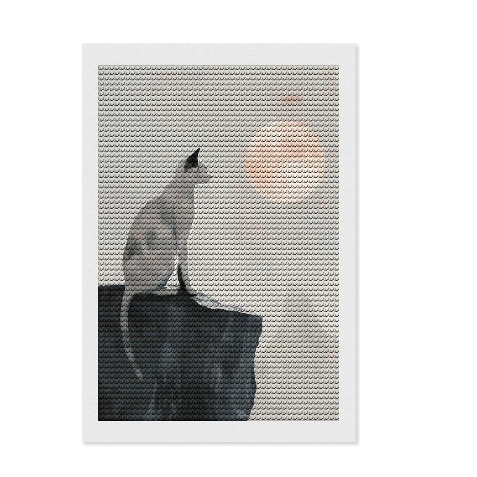 Junmoney Cat and Moon Digital Painting Round Drill Diamond Painting 8"x12", for Women, Fun Craft Experience, Bedroom Decor, Holiday Gift Idea