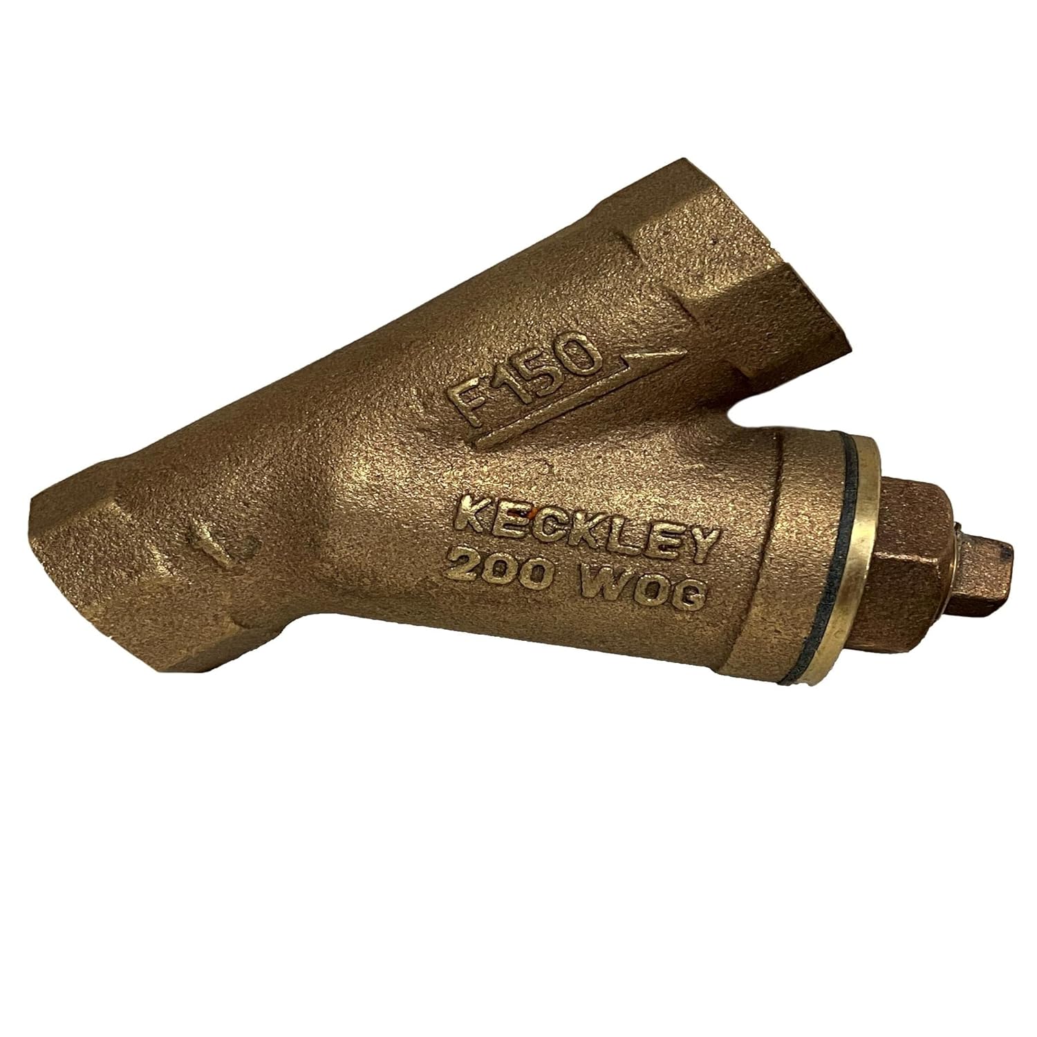 F150 Y Strainer 1" Female NPT 200 PSI Industrial & Scientific