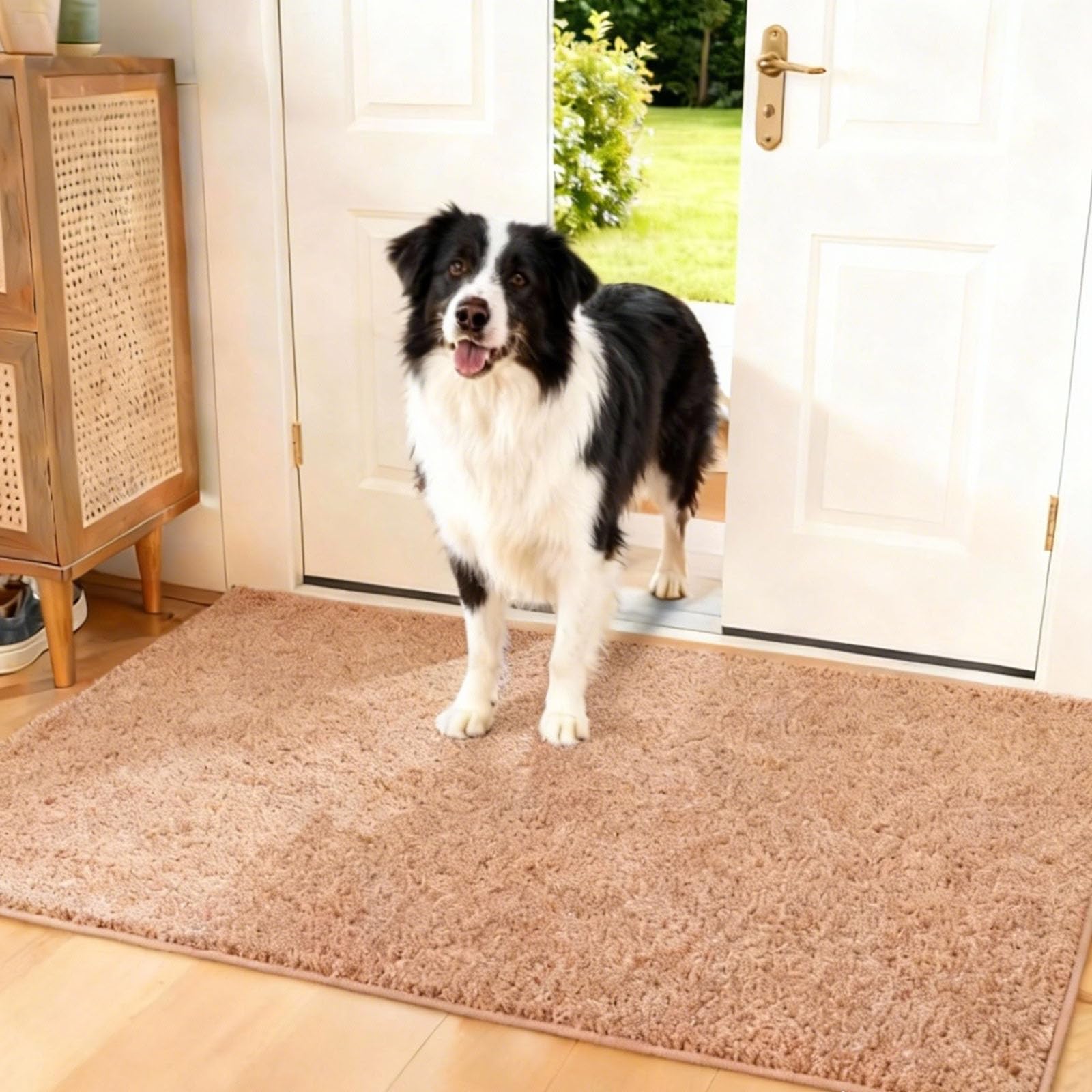 Biscpro Tapis Chien, Couverture pour Animaux, pour Chat, 50 x 80 cm,Lavable en Machine, Antidérapant,Moelleux,pour Chien, Entrée, Porte et Couloir -Café Biscpro Tapis Chien, Couverture pour Animaux, pour Chat, 50 x 80 cm,Lavable en Machine, Antidérapant,Moelleux,pour Chien, Entrée, Porte et Couloir -Café