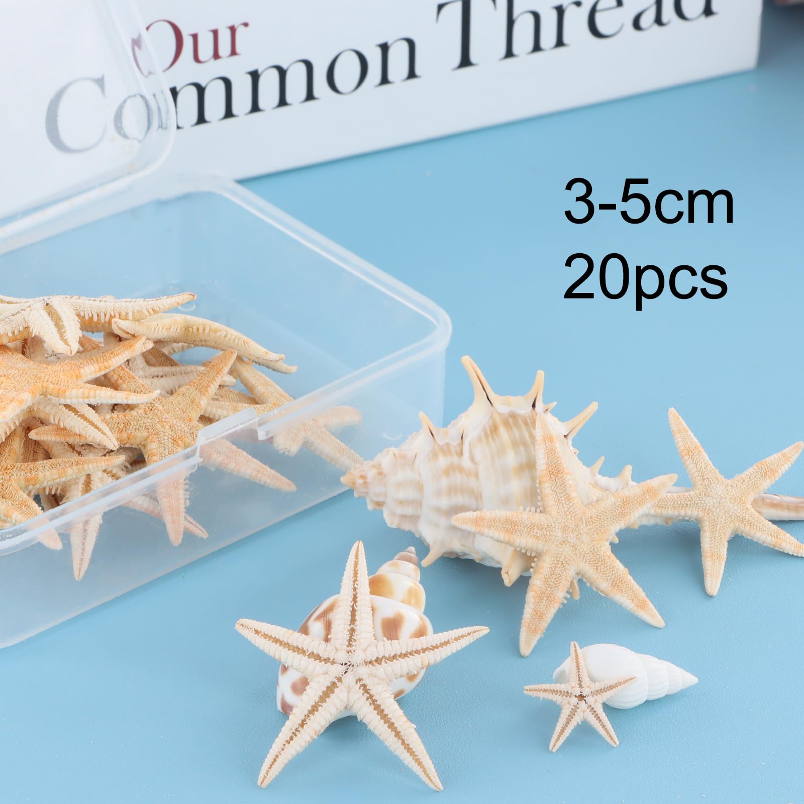 20 PCS Estrellas de Mar Decorativas, Pequeñas y Mini, para Manualidades, Bodas, Playa, Fiestas Temáticas y Decoración del Hogar