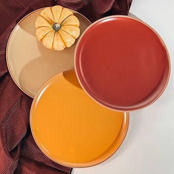 Mora Ceramic Artisan Matte Dinner Plates Set of 6, 10 inch Dish Set - Microwave, Oven, and Dishwasher Safe, Scratch Resistant, Modern Rustic Dinnerware- Kitchen Porcelain Serving Dishes