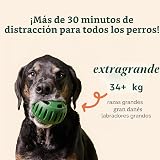 Ver la foto 8