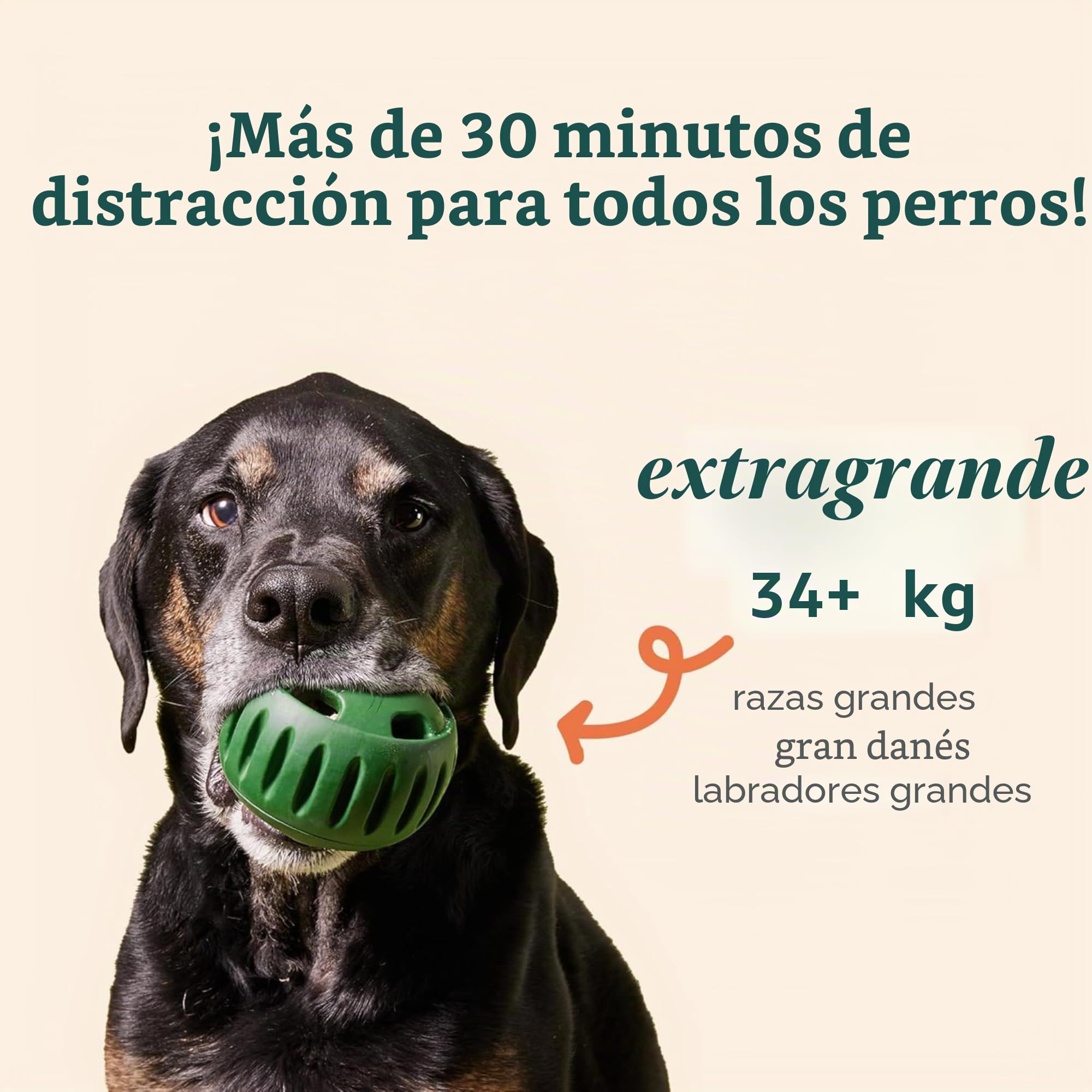 WOOF Pupsicle XL - Juguete Duradero para Perros (75 Libras), fácil de Limpiar