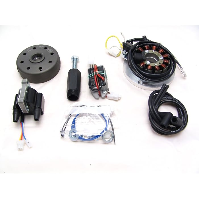 Buy Powerdynamo MZB Ignition System Stator Compatible with Yamaha 85