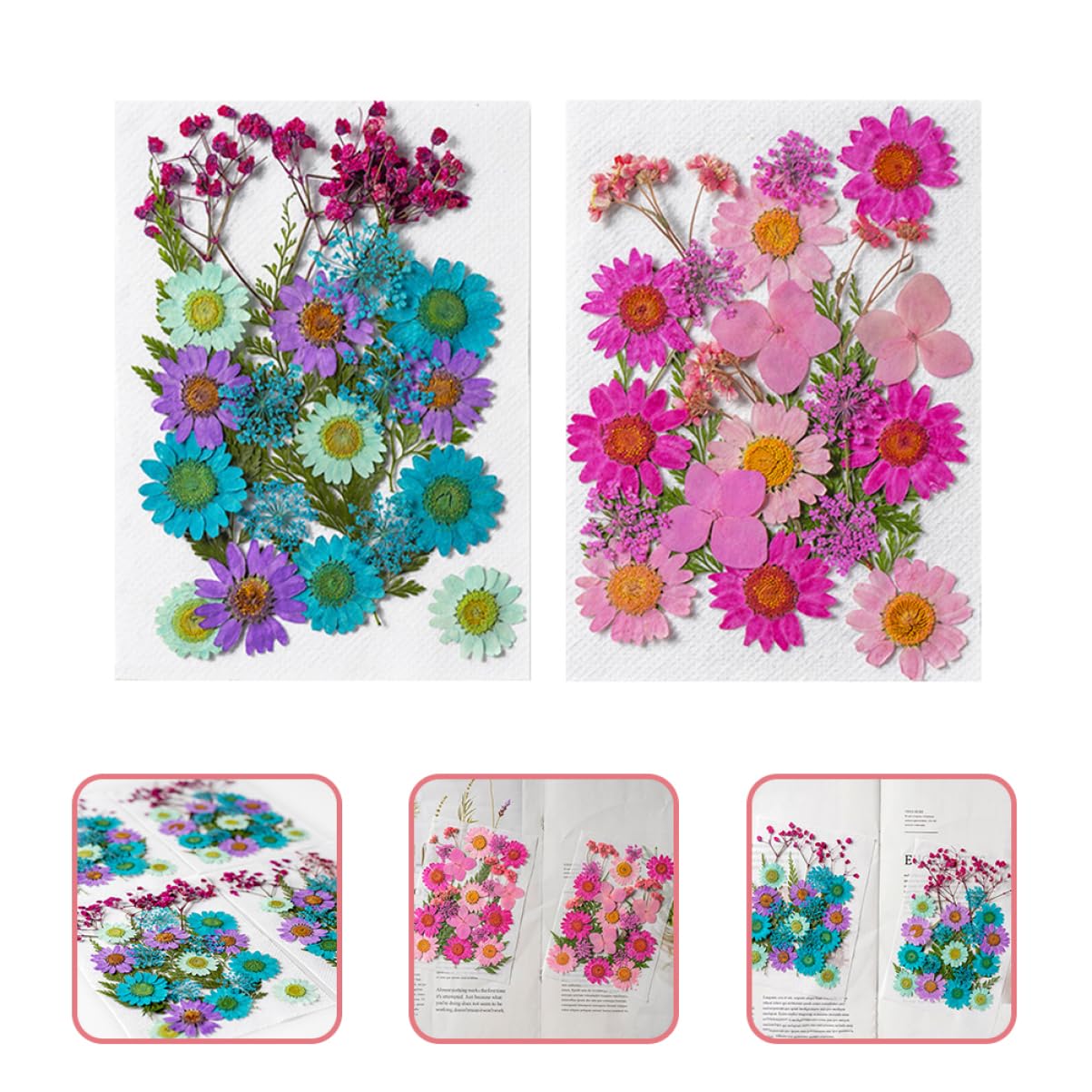 VILLCASE 200pièces Fleurs Séchées Naturelles pour Artisanat Matériaux Décoratifs pour Projets Créatifs Échantillons De Plantes Pressées Accessoires Manuels Décoration Unique Et