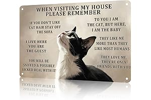 Captivating 'When Visiting My House Please Remember' Cat Sign: An Ode to Feline Etiquette