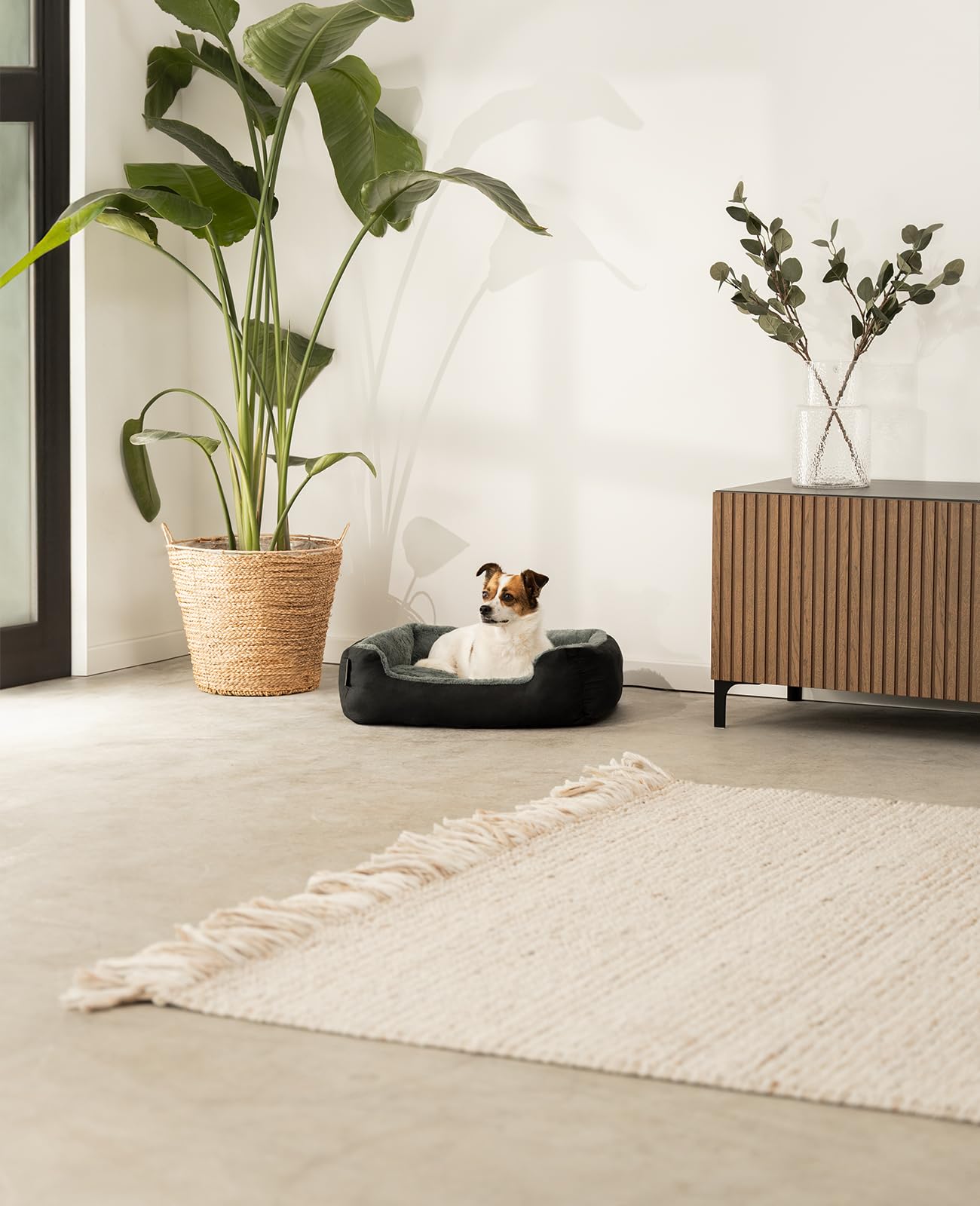 lionto Letto per Cani Cuscino per Cani Divano per Cani con Cuscini, (M) 60x48 cm Grigio/Nero