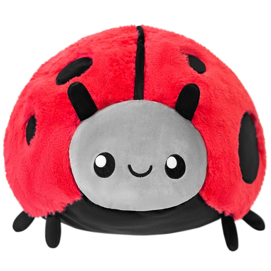 ルドルフシャッファーてんとう虫のぬいぐるみ3体セット Amazon