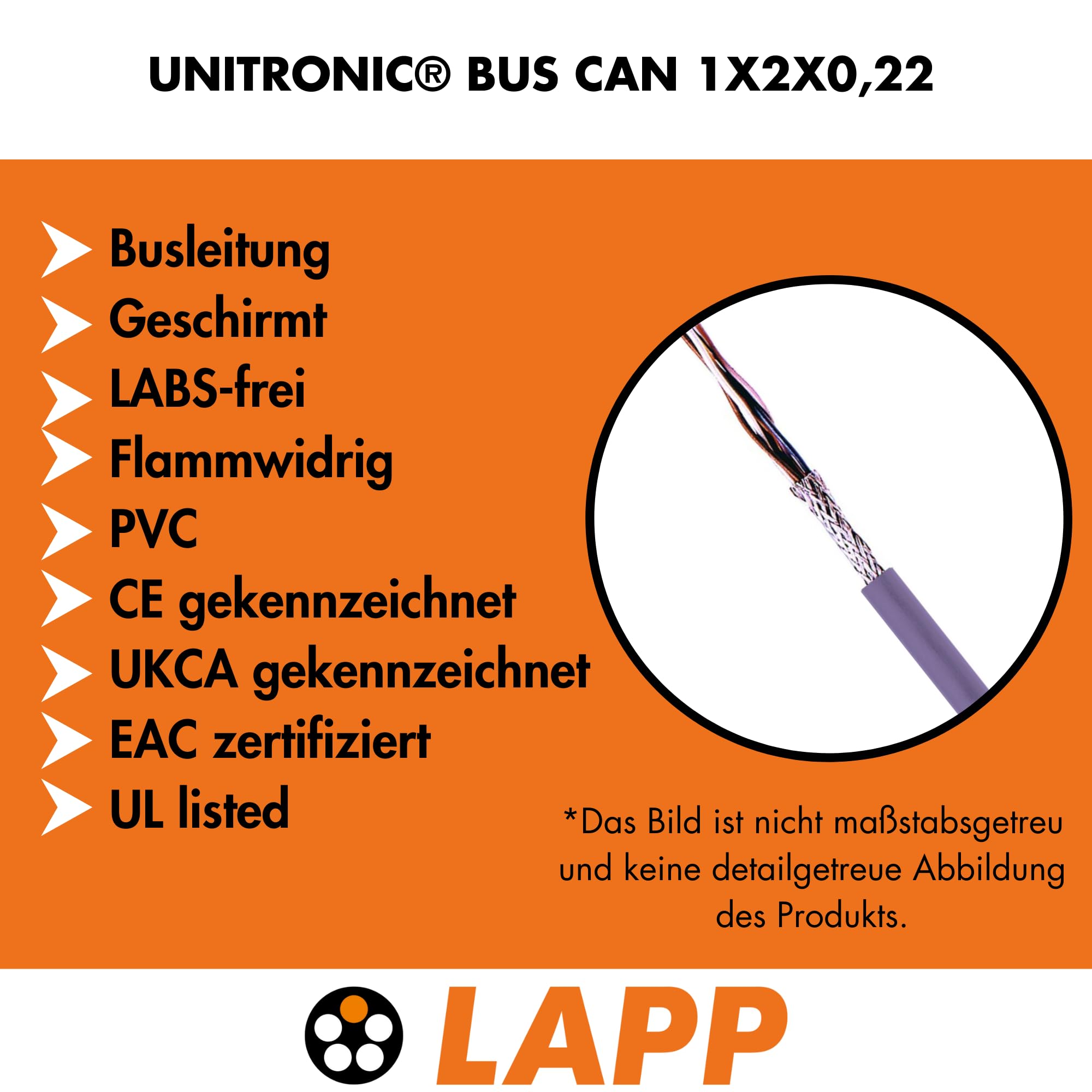 Lapp