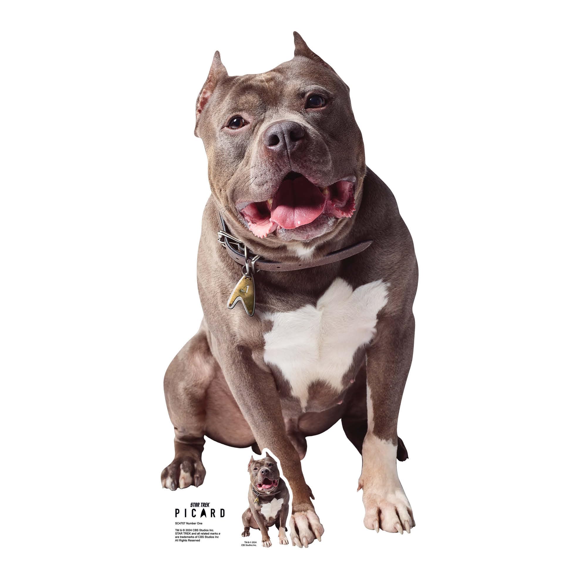 Star Cutouts – SC4707 – Star Trek Number One Dog Cardboard Cutout 72cm – Picard’s Dog – Fun Star Trek Gift & Display Décor