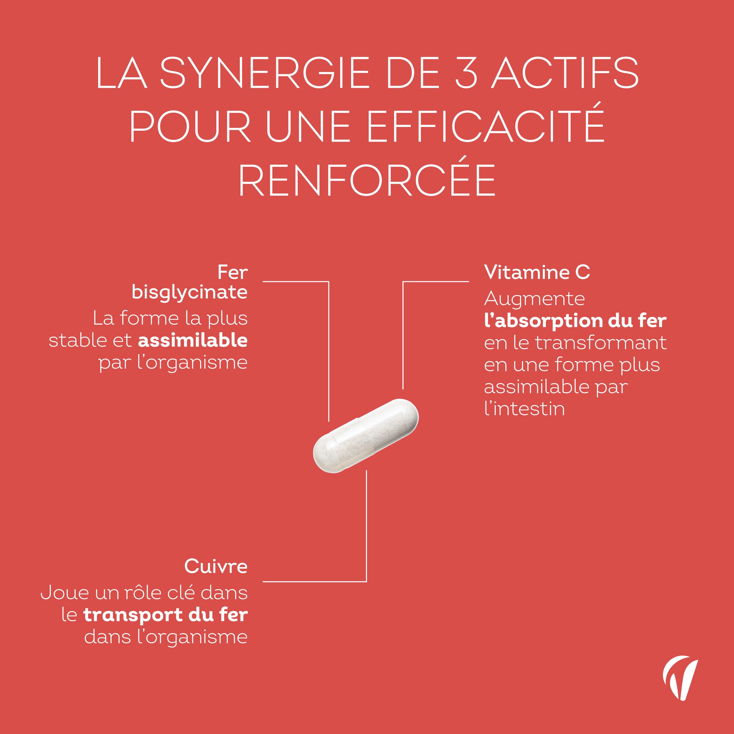 Fer Bisglycinate 14 mg + Vitamine C & Cuivre - Haute absorption, Réduit la Fatigue, Soutien Immunitaire - Avec Cuivre - 120 gélules Vegan - Fabriqué en France - Vitavea