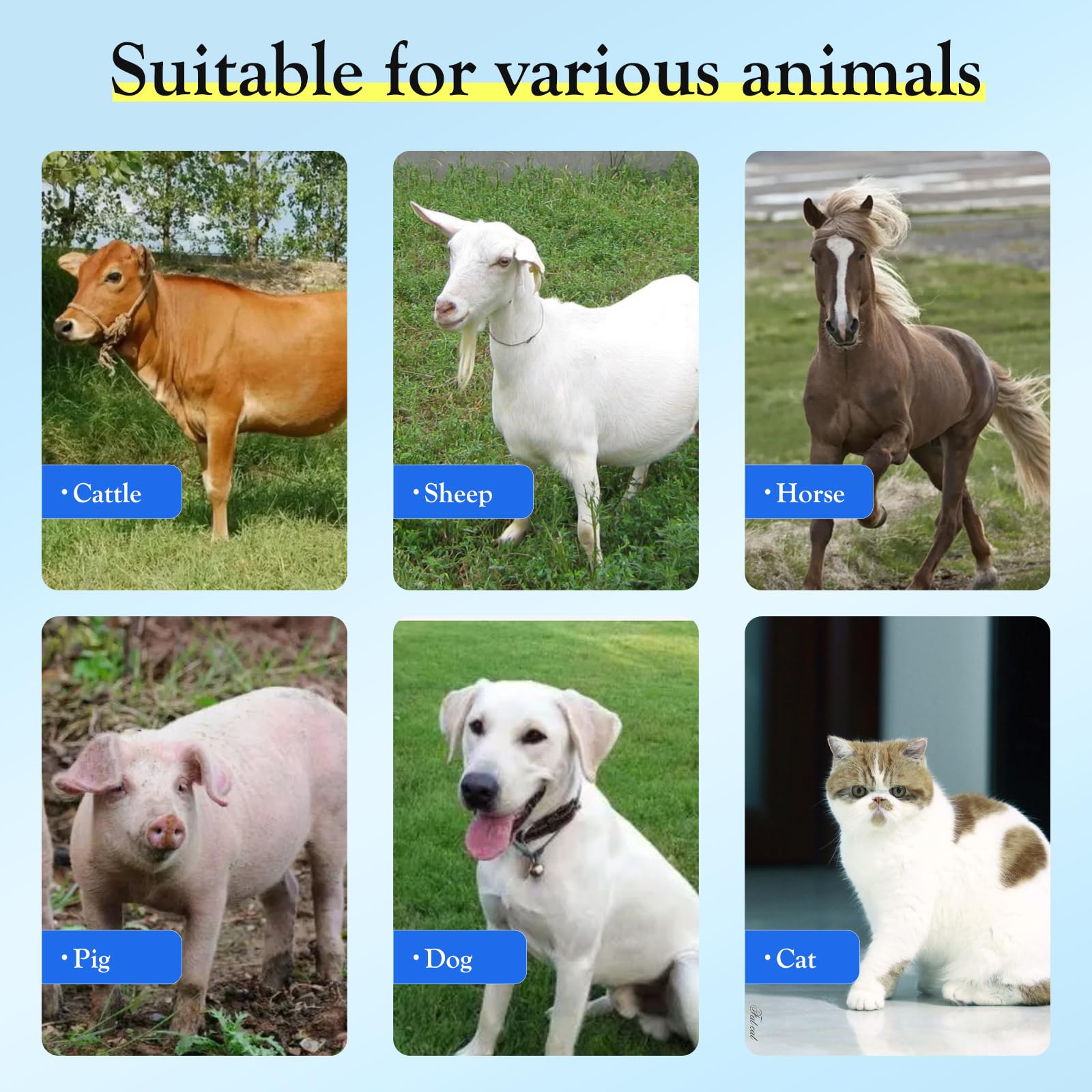 Ciotola Automatica per L'Acqua Del Bestiame con Valvola Galleggiante Regolabile In Plastica per Animali di Pecora Capra Vitello Scrofa Cane Abbeveratoio per Animali di Grandi Dimensioni (Blu)