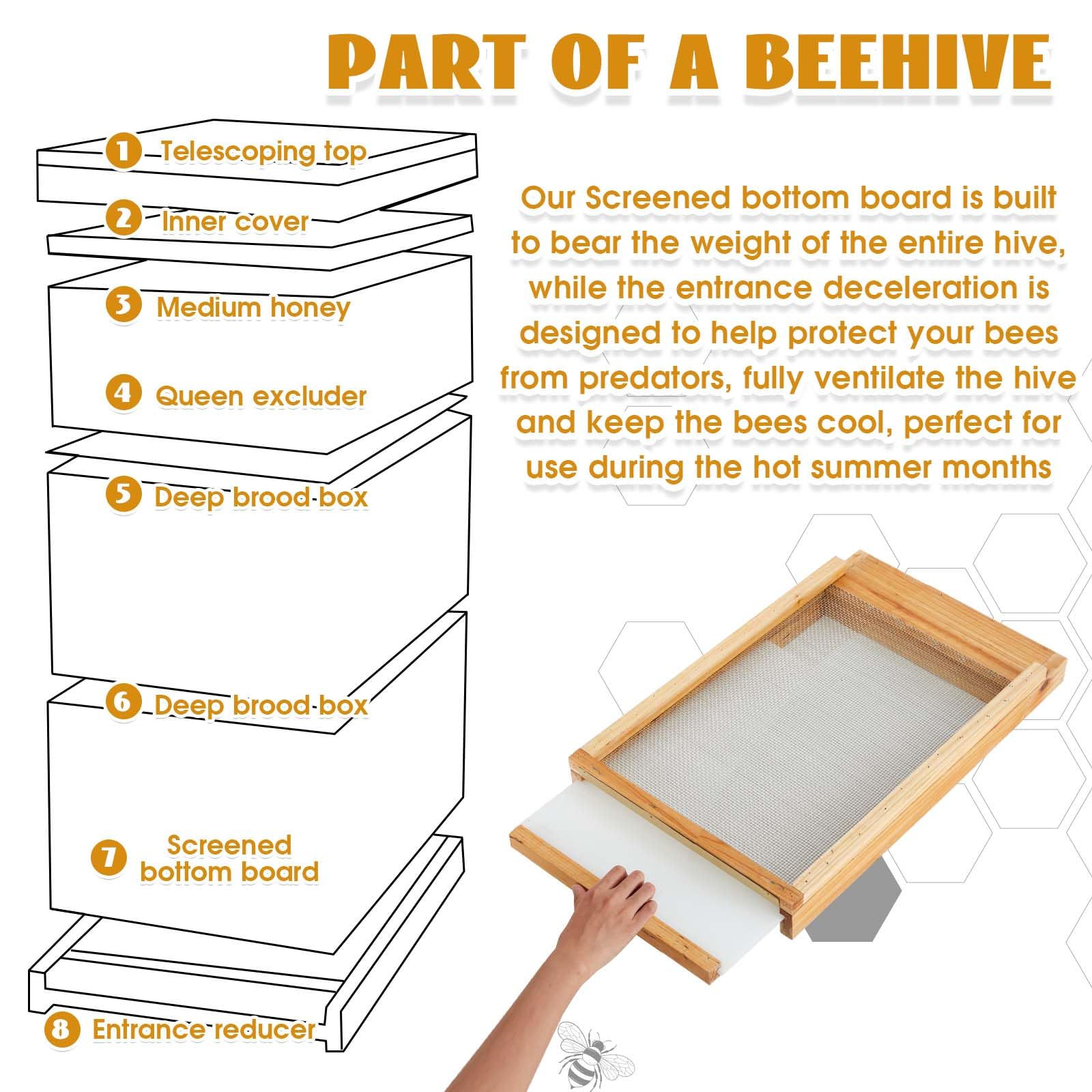 Juexica Panneau inférieur de ruche trempé dans de la cire d'abeille avec réducteur d'entrée pour fournitures d'apiculture d'été (8 cadres)