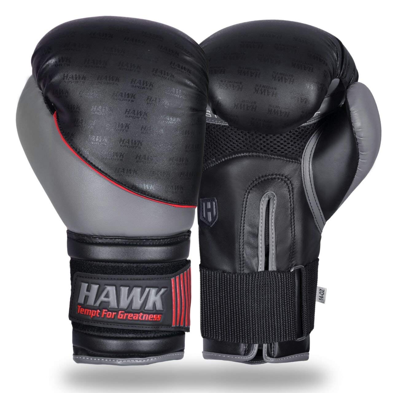 hawk boxing