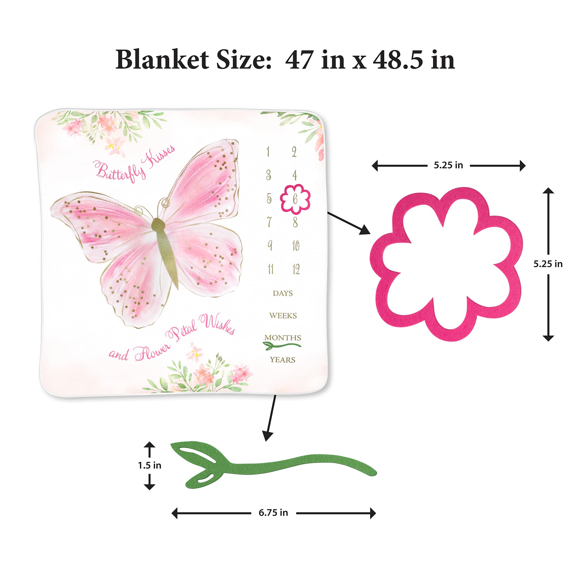 Amazon.com: Lillian Rose Butterfly Baby Milestone Blanket Frames
