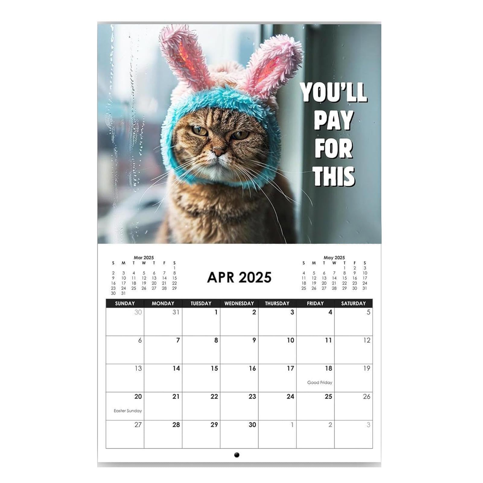 Pissed Off Cat Calendar 2025, Grump-y Cat Wall Calendar 12 Month Calendar,Funny Cat Wall Calendar 2025, Wall Art Calendar Month To View Funny Animal Calendar 2025 Creative Family Memo Calendar