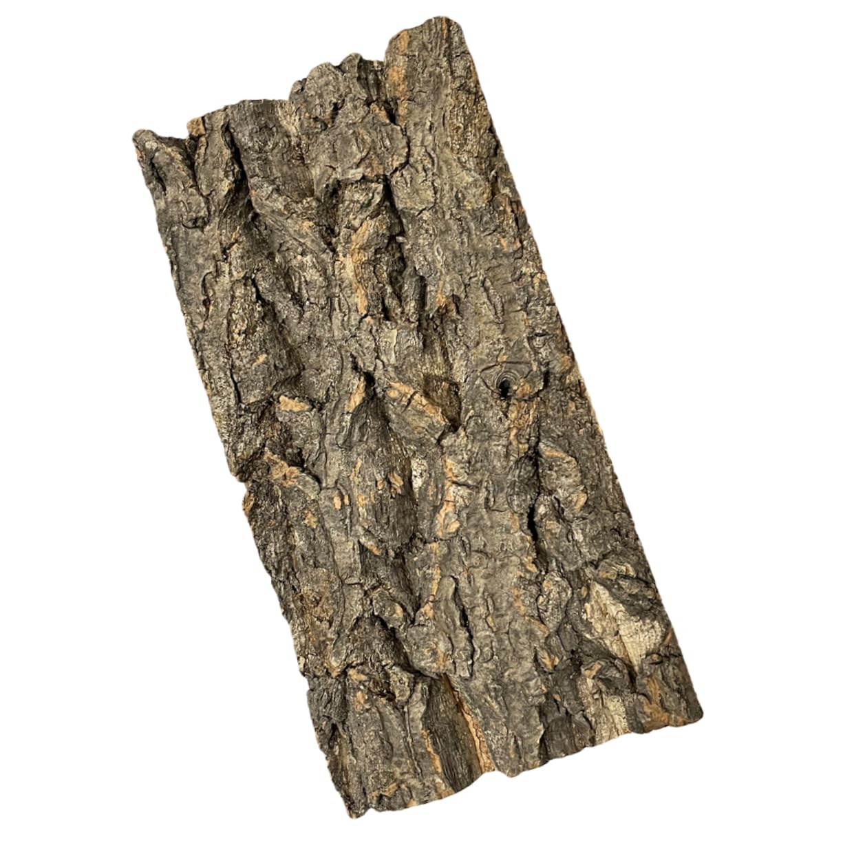 BESPORTBLE Bark Background Board Large Reptile Heat Mat Terrariums Vines Tank Aquarium Decoration Reptile Terrarium Lizard Kit Cork Bark Decoration Terrarium Accessories Pet Cork Board
