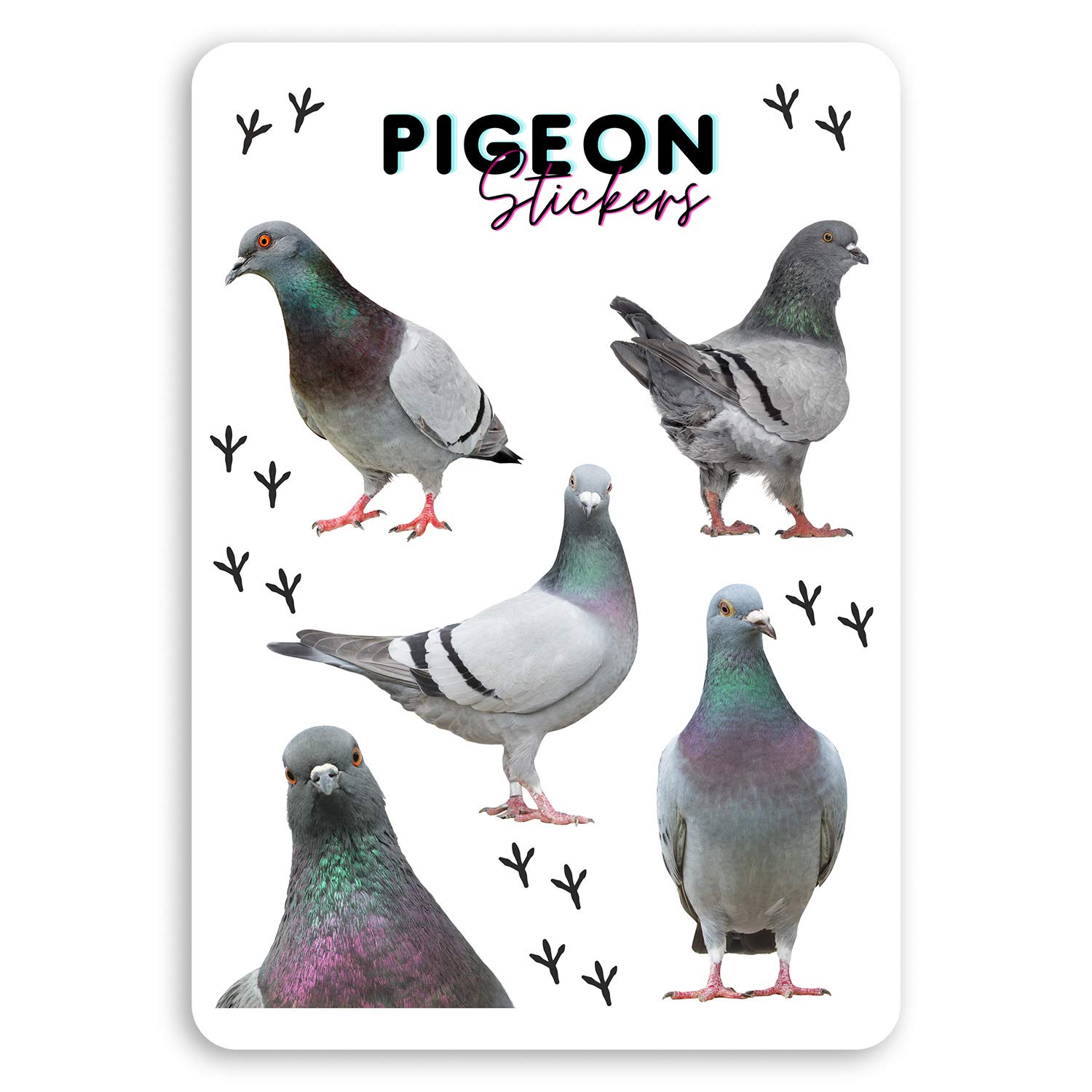 Destination Vinyl Ltd Multi 1 X A5 Sheet Funny Pigeon Bird Vinyl Stickers - Pigeons Sticker #34896_A5 (A5)