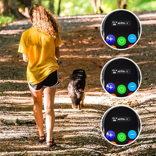 Dog Training System in Use Outdoors