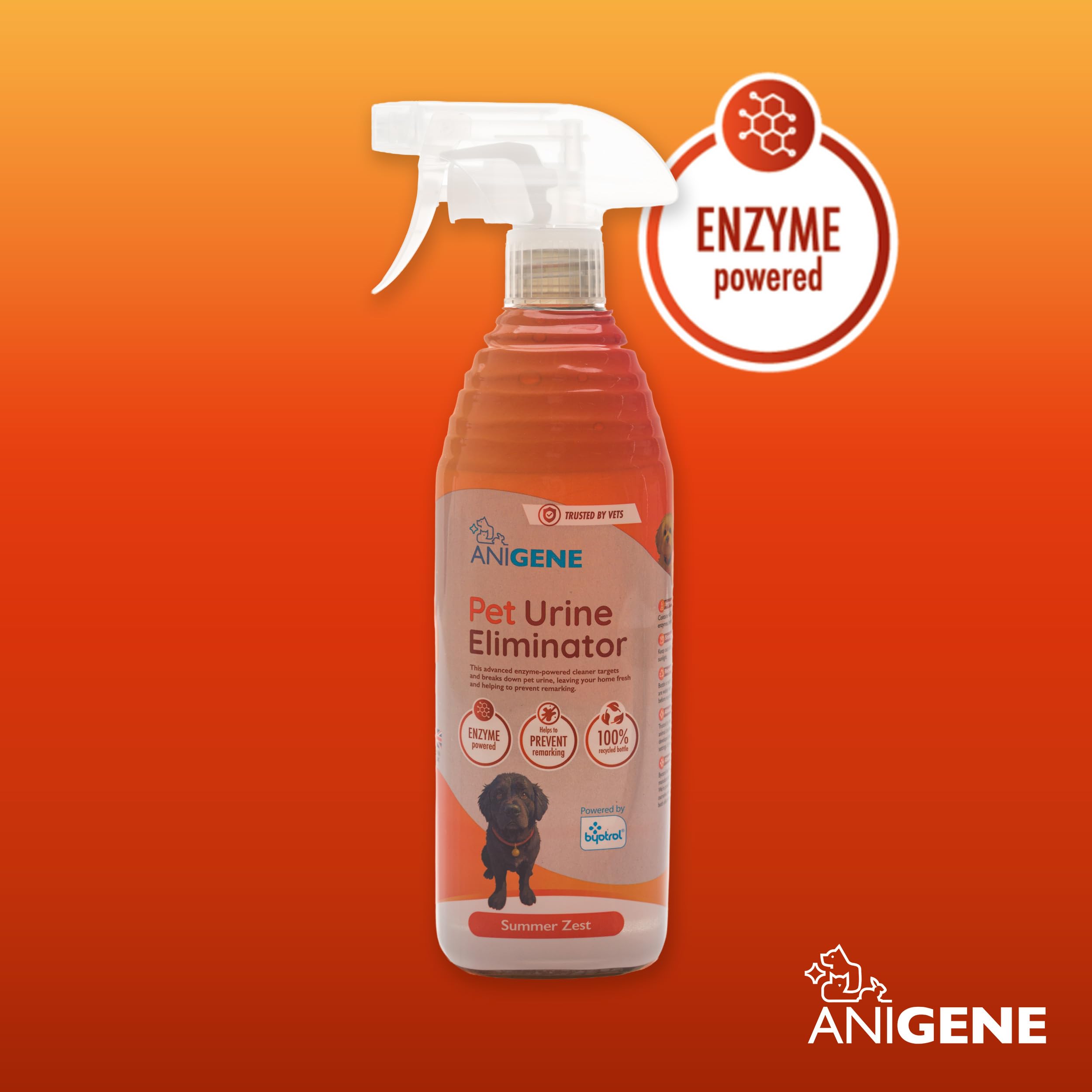 View 2