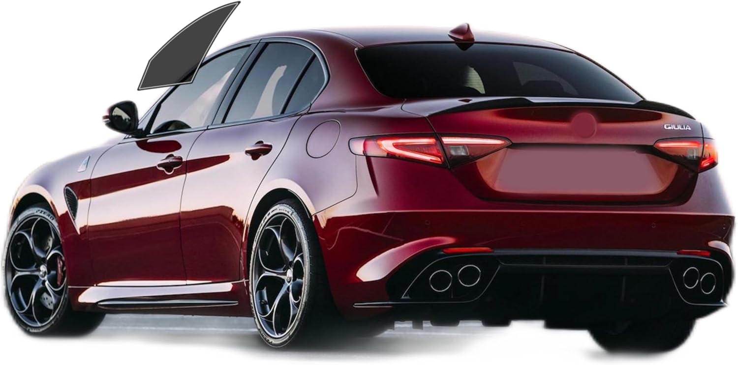 AUTOTEK Precut Window Tint Film Front Two Door Windows Tint