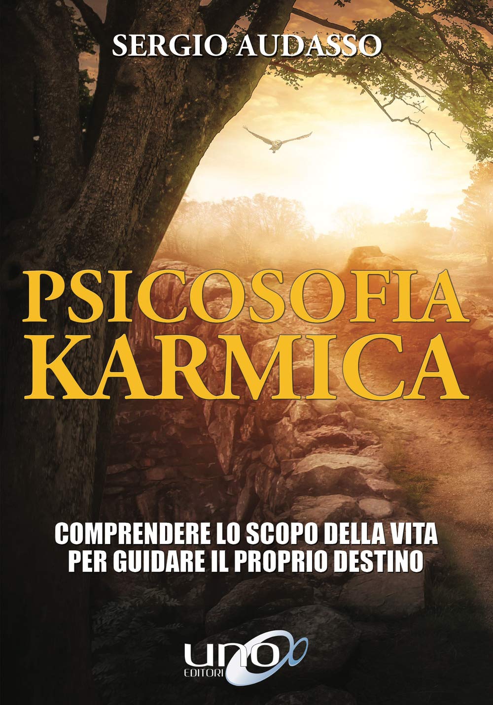 Psicosofia Karmica. Comprendere Lo Scopo Della Vita Per Guidare Il Proprio Destino - 4