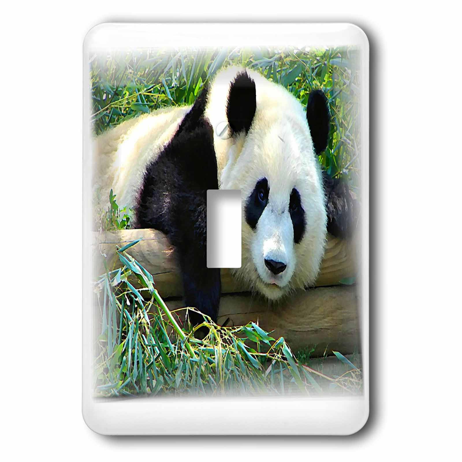 Interrupteur à bascule unique Panda Ours multicolore 3dRose LSP_110976_2 pour décoration murale