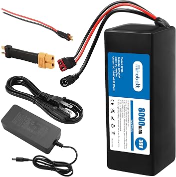 36V 8Ah Rechargeable Power Pack with 42V 2A Adapter, 25A BMS and Waterproof Design for 100-600W Systems